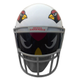 Image for article titled Last-minute gifts for last-place NFL fans